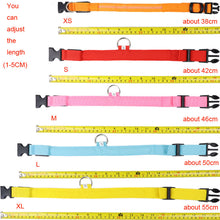 Load image into Gallery viewer, LED collar