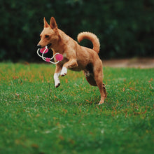Load image into Gallery viewer, Infinite Tug Toy