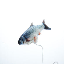 Load image into Gallery viewer, Interactive Dancing Fish Toy
