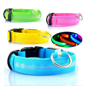 LED collar