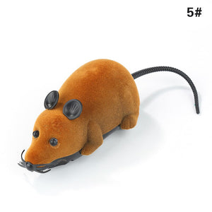 Wireless Controllable Rat