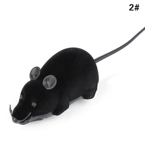 Wireless Controllable Rat