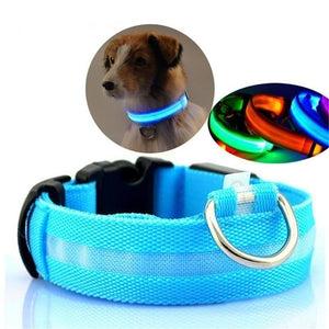 LED collar